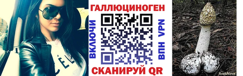 Галлюциногенные грибы Psilocybine cubensis  Октябрьский 