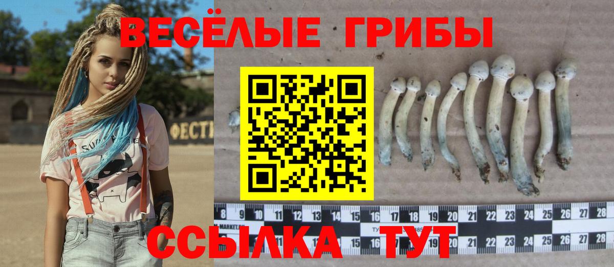 Галлюциногенные грибы Cubensis Октябрьский